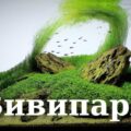 Волосатый аквариумный веник - Элеохарис вивипара