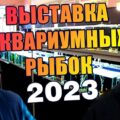 Выставка аквариумных рыб 2023. Москва. Клуб Русские аквариумы