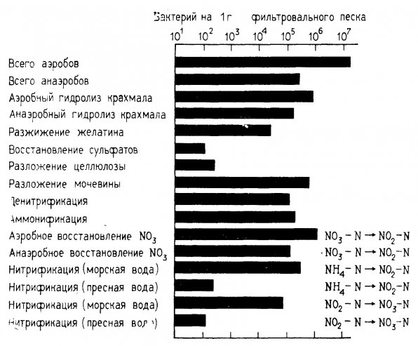 Азотный цикл в аквариуме брошюра для начинающих