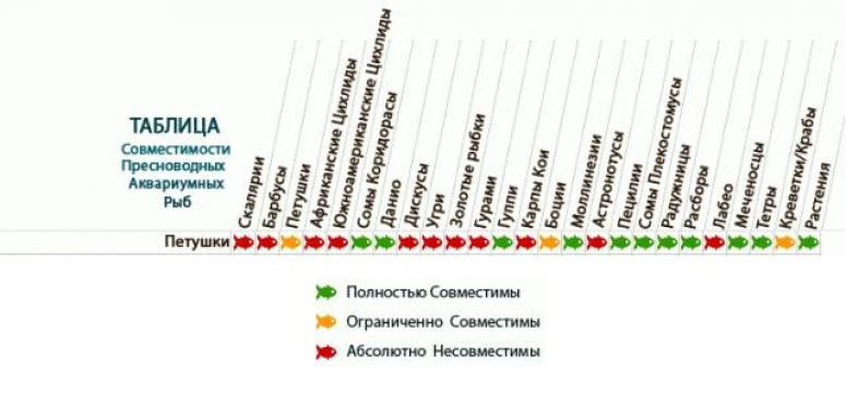 Совместимость аквариумных рыбок