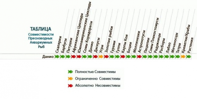 Совместимость аквариумных рыбок