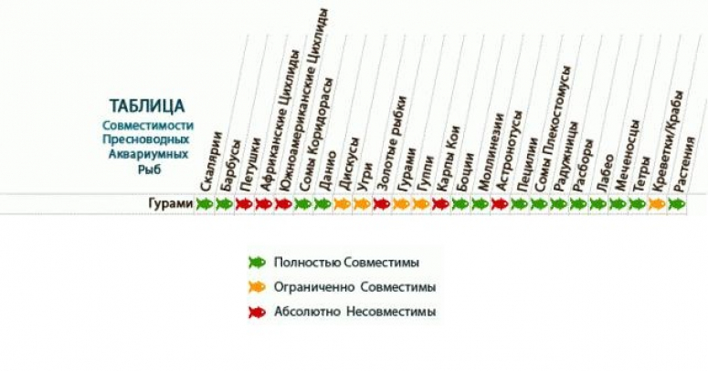 Совместимость аквариумных рыбок