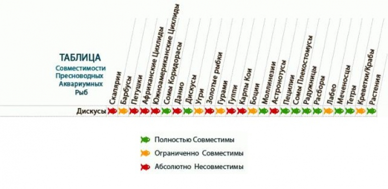 Совместимость аквариумных рыбок