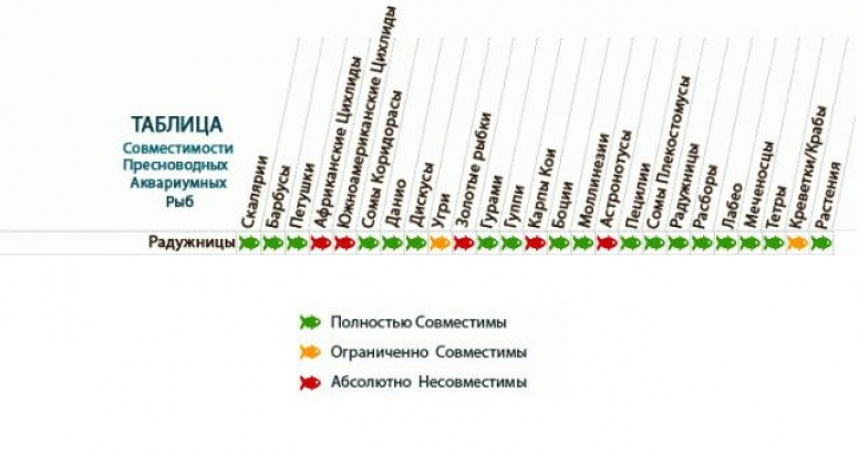 Совместимость аквариумных рыбок