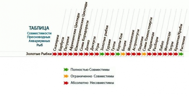 Совместимость аквариумных рыбок